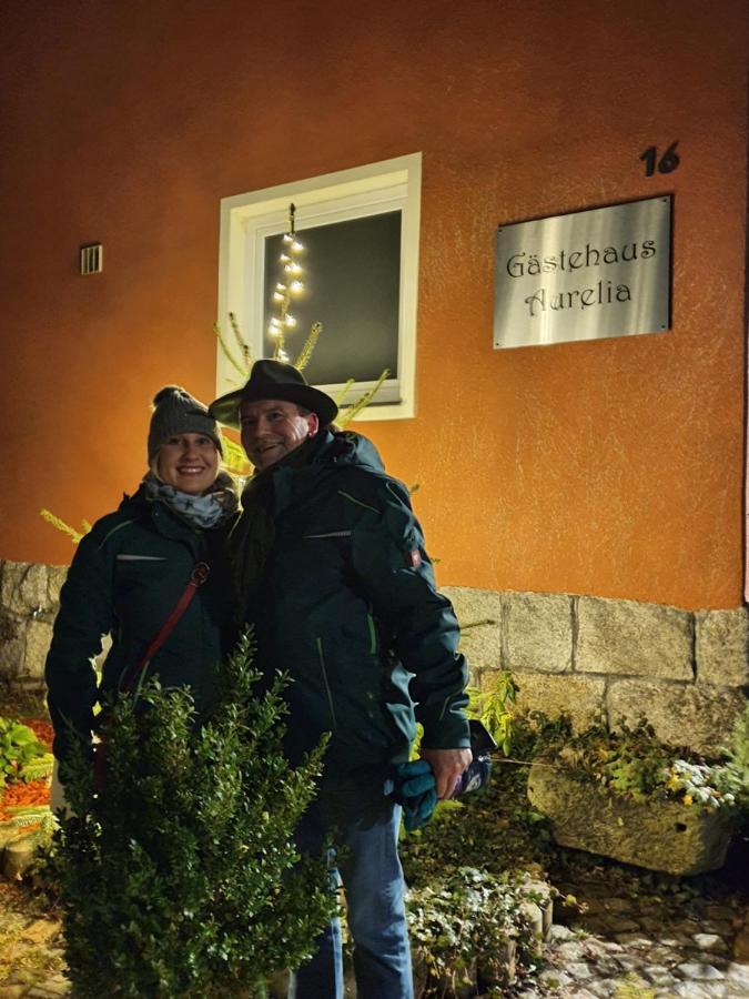 Gaestehaus Aurelia Wiesau المظهر الخارجي الصورة